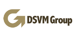 DSVM Group